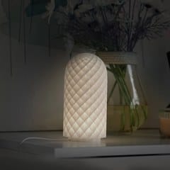 LED Lamp Kit photo